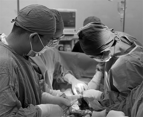 Ê kíp phẫu thuật cho sản phụ mắc bệnh cơ tim phì đại