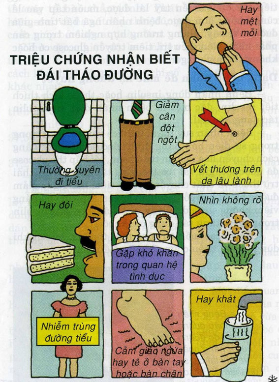 trieu chung nhan bit DTD.jpg
